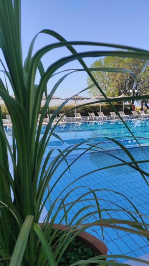 Kassandra Mare Hotel Nea Poteidaia Buitenkant foto